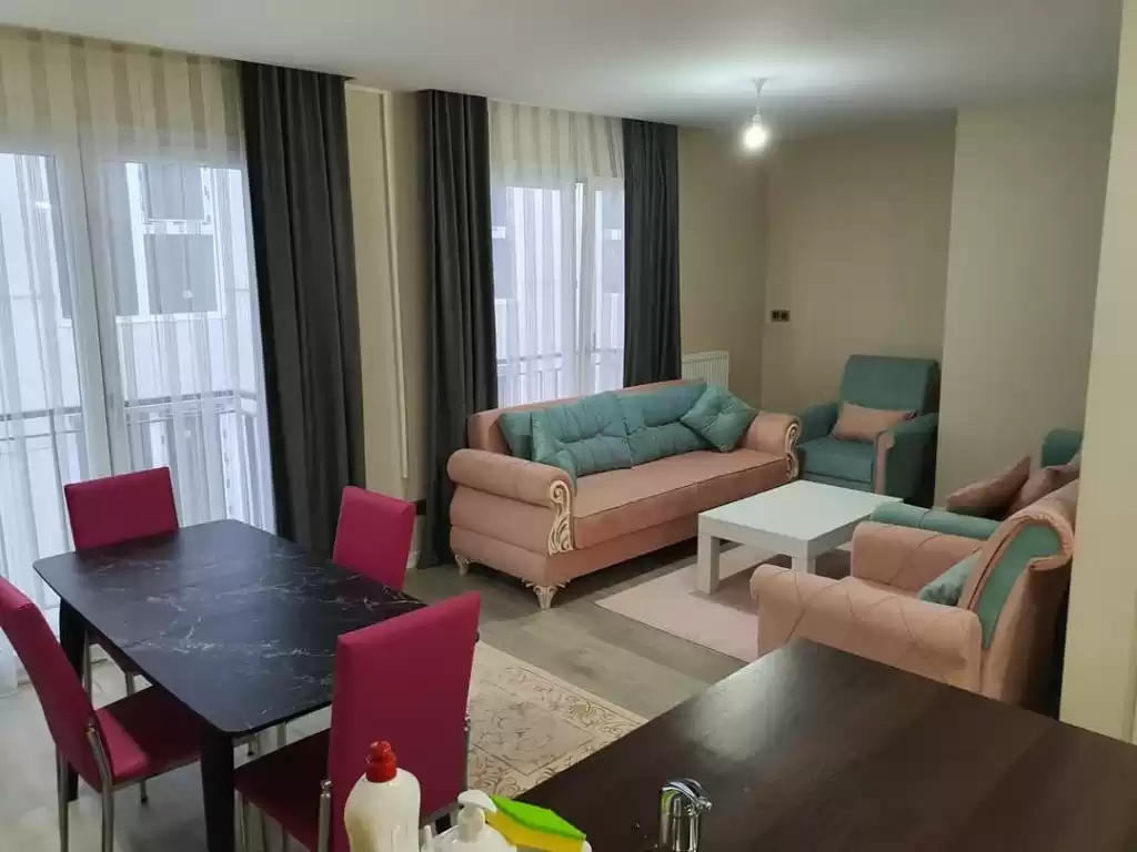 Résidentiel Propriété prête 2 chambres U / f Appartement  a louer au Istanbul #44129 - 1  image 