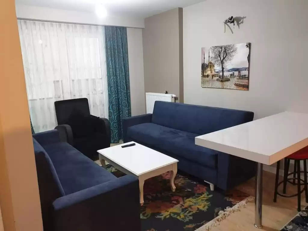 Résidentiel Propriété prête 2 chambres U / f Appartement  a louer au Istanbul #44131 - 1  image 