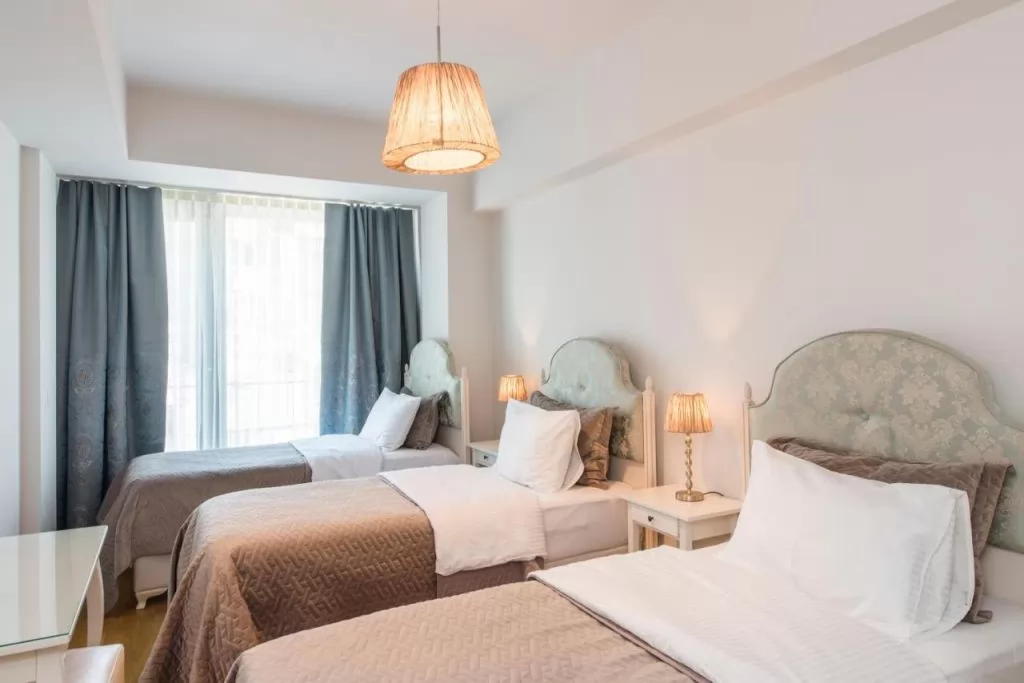 Résidentiel Propriété prête Studio F / F Appartement  a louer au Istanbul #44272 - 1  image 