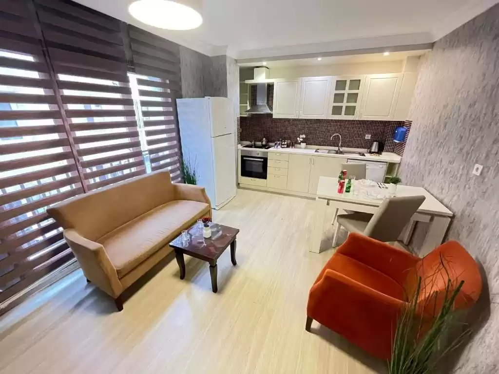 Wohn Klaar eigendom 2 Schlafzimmer U/F Wohnung  zu vermieten in Istanbul #44279 - 1  image 