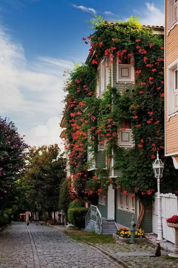 Wohn Klaar eigendom 2 Schlafzimmer S/F Wohnung  zu vermieten in Istanbul #44311 - 1  image 