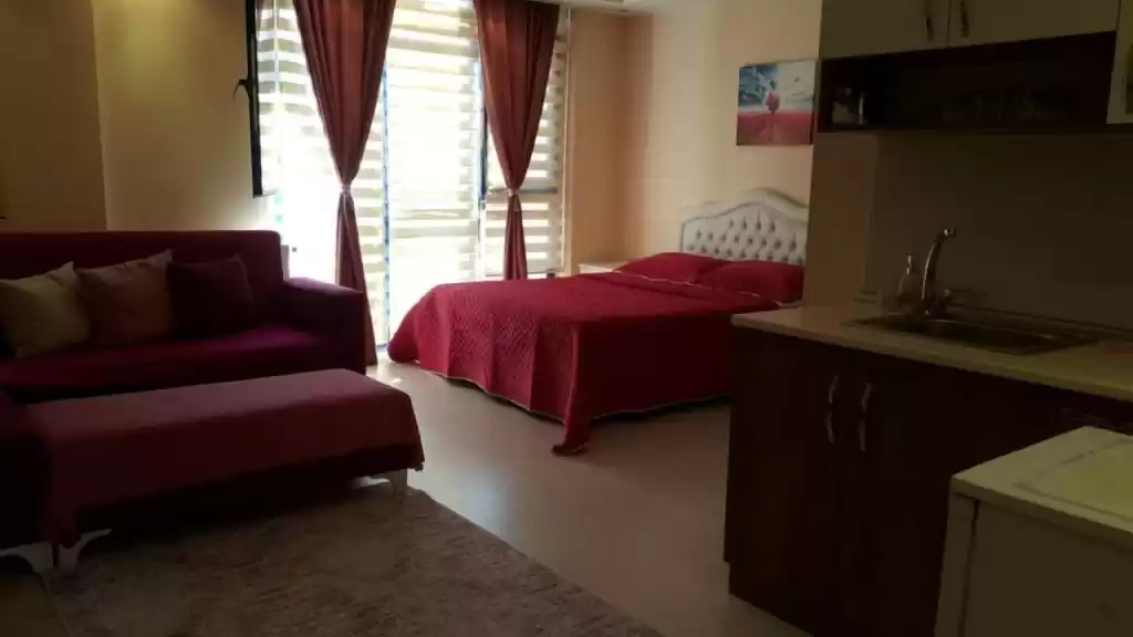 Résidentiel Propriété prête 2 chambres U / f Appartement  à vendre au Istanbul #44439 - 1  image 