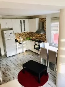 Residential Property 2 Bedrooms U/F Apartment  for rent in İstanbul #44480 - 1  image 