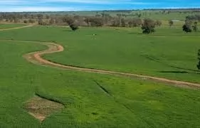 زمین املاک آماده زمین تجاری  برای اجاره که در انقرہ		 #45131 - 1  image 