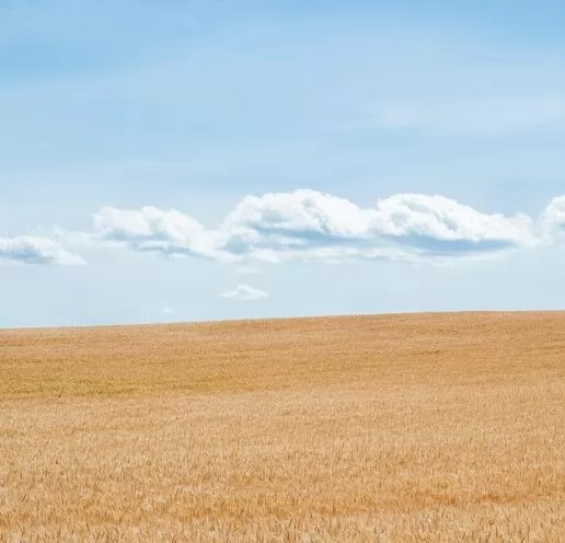 Land Ready Property Residential Land  for sale in Dubai #47239 - 1  image 