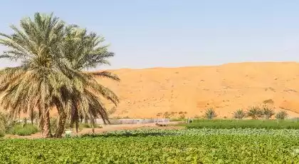 Terre Propriété prête Terrain Commercial  a louer au Dubai #47714 - 1  image 