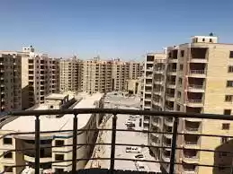 Коммерческий Готовая недвижимость Ж/Ж Отдельная вилла  продается в Аль-Садд , Доха #48558 - 1  image 