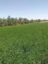 Terre Propriété prête Terrain à usage mixte  à vendre au Hazm Al Markhiya , Doha #51085 - 1  image 