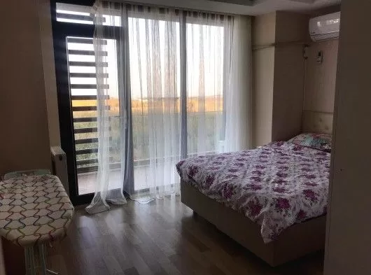 Residential Ready Property 2 Bedrooms F/F Apartment  for rent in Al Ain #51854 - 1  image 