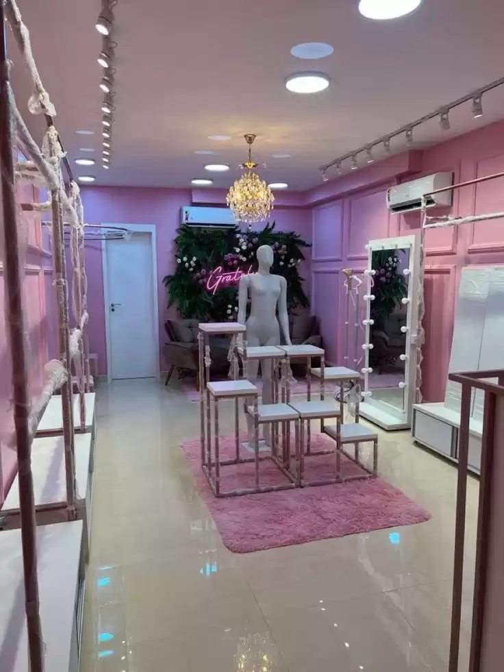 Commercial Ready Property F/F Retail  for rent in Dubai #52190 - 1  image 